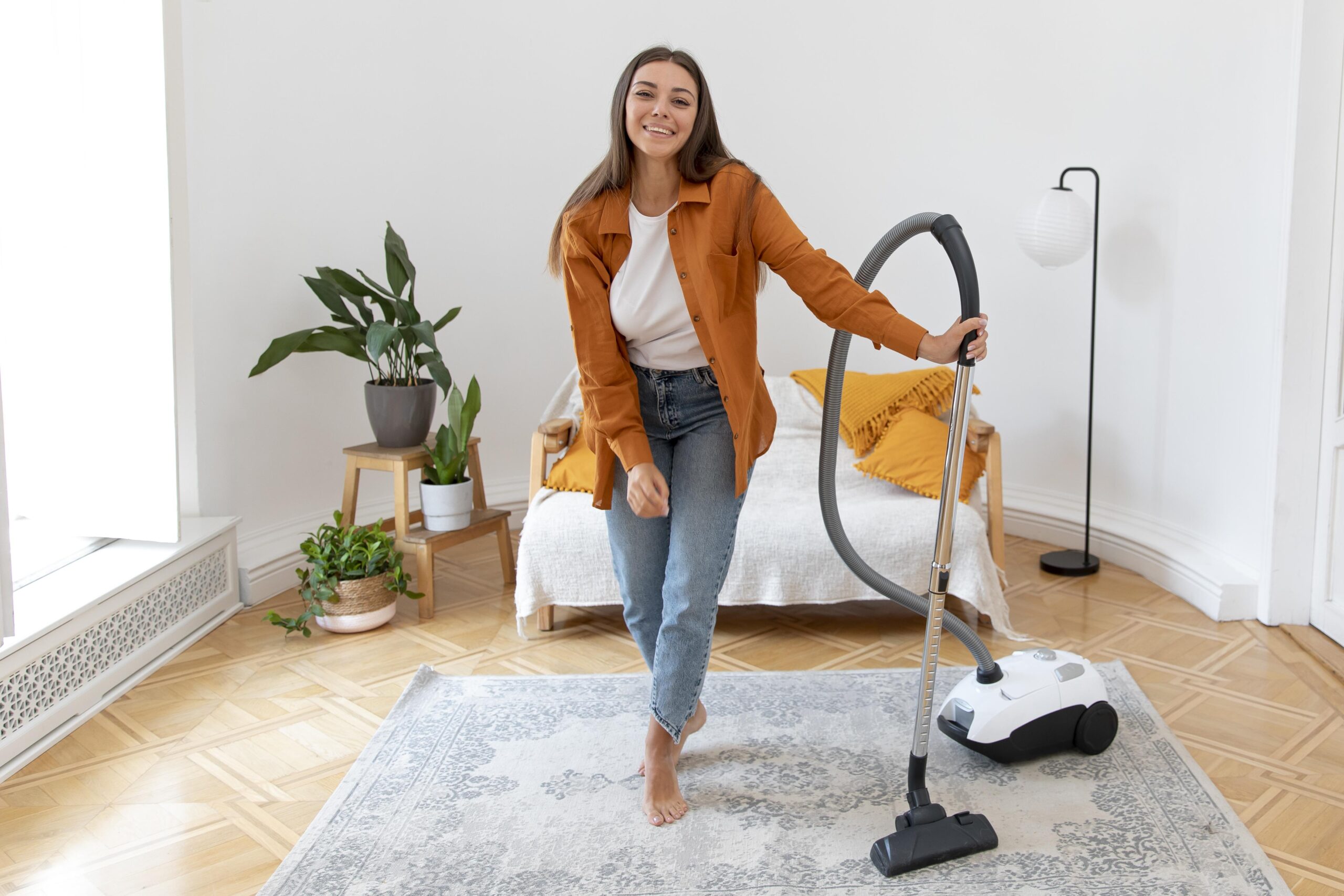 Exploring the Benefits of a Portable Vacuum